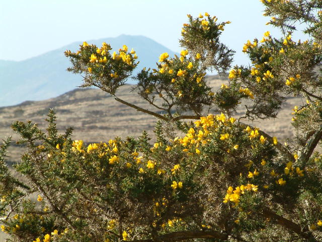 Connemara National Park