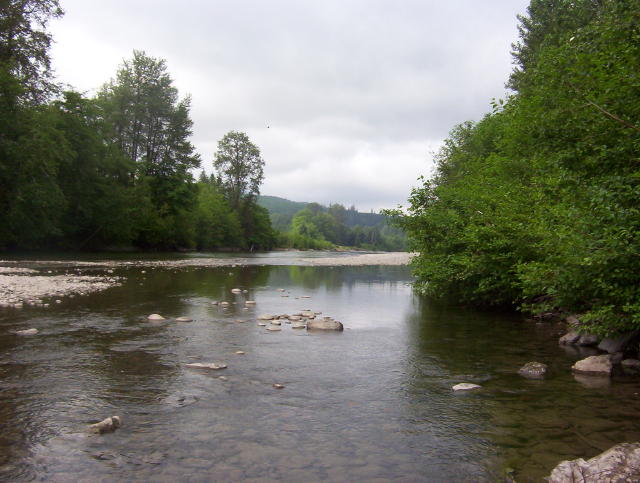 Stream with sand bar next to camp
